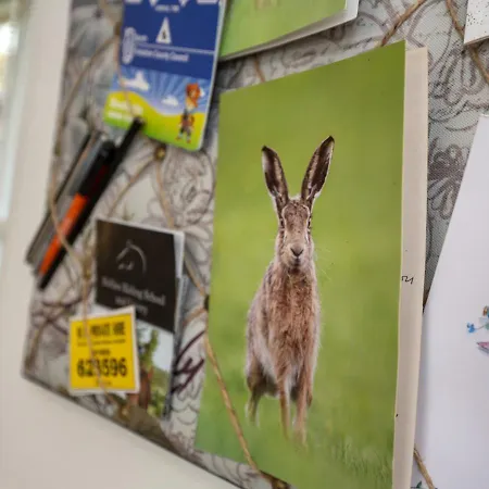 Holiday home Hare Finghall