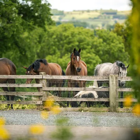 2 Bed In Oc-ds913 Ferienhaus