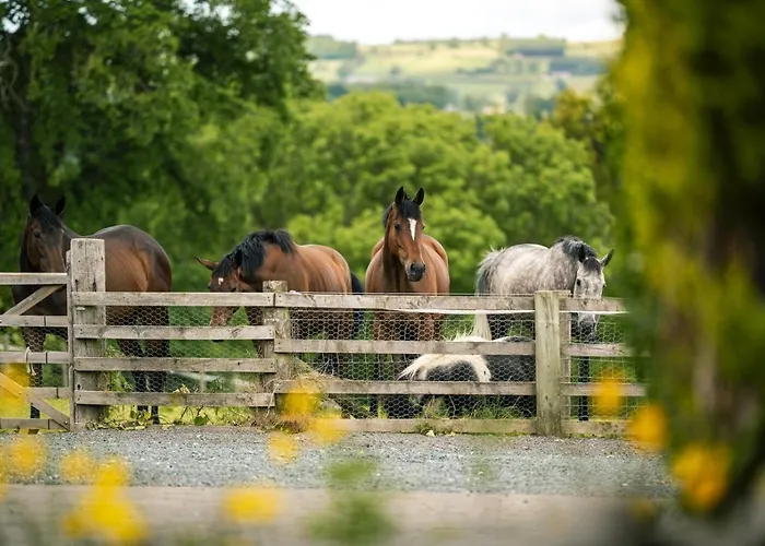 2 Bed In Oc-ds913 Ferienhaus